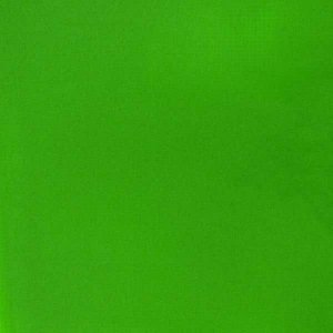 Fluro Green Acrylic Gouache liquitex 59ml