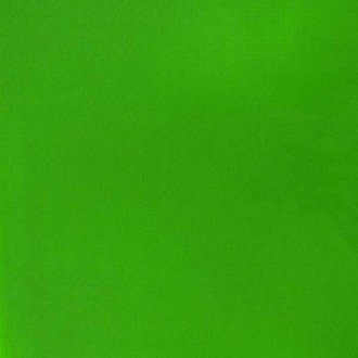 Fluro Green Acrylic Gouache liquitex 59ml