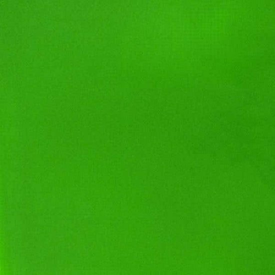 Fluro Green Acrylic Gouache liquitex 59ml - Click Image to Close
