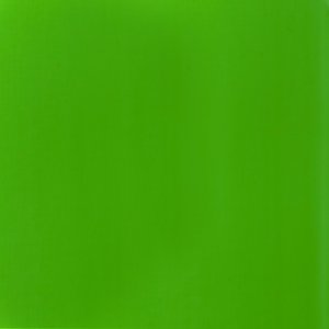 Fluro Green Basics Acrylic 118ml