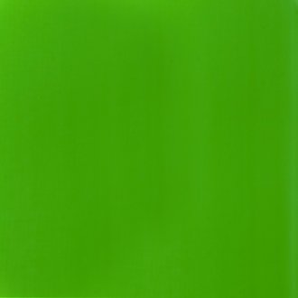 Fluro Green Basics Acrylic 118ml