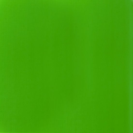 Fluro Green Basics Acrylic 118ml - Click Image to Close