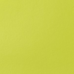 Brilliant Yellow Green Basics Acrylic 118ml