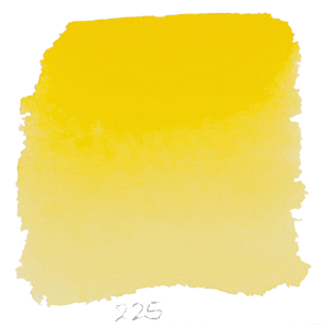 225 Cadmium Yellow Medium Horadam 15ml