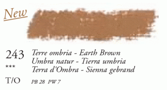 243 Earth Brown Large Sennelier Oil Pastel