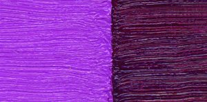 Quinacridone Violet (PV 19) DS W/S Oil 37ml
