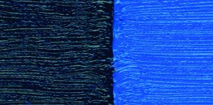 Phthalo Blue G/S (PB 15) DS W/S Oil 37ml