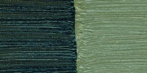 Raw Umber (PBr 7) DS W/S Oil 37ml