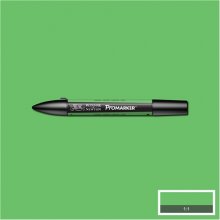 Grass (G457) Winsor Pro Marker