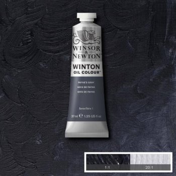 Paynes Grey Winton 200ml