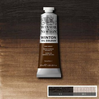 Raw Umber Winton 200ml