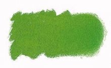 N573 Grass Green Art Spectrum Soft Pastels