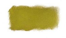 P579 Greenish Umber Art Spectrum Soft Pastels