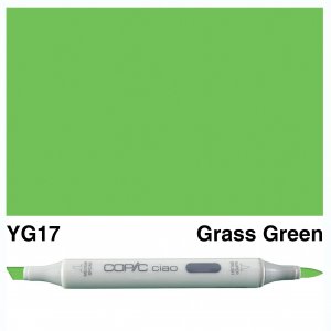 Copic Ciao YG17