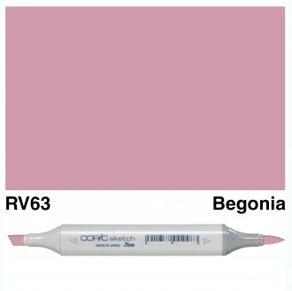 Copic Sketch RV63-Begonia