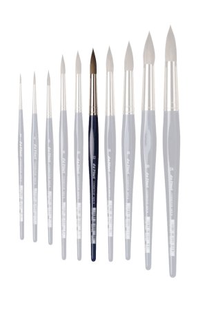 5530 Da Vinci Cosmotop Size 12