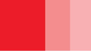Cadmium Red Light Horadam Gouache 15ml