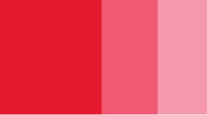 Scarlet Horadam Gouache 15ml