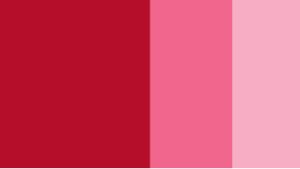 Carmine Horadam Gouache 15ml