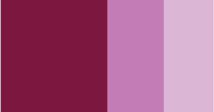 Quinacridone Violet Horadam Gouache 15ml
