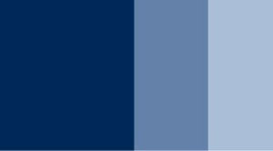 Dark Blue Indigo Horadam Gouache 15ml