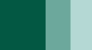 Cobalt Green Deep Horadam Gouache 15ml