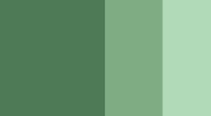 Chromium Oxide Green Horadam Gouache 15ml