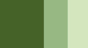 Olive Green Horadam Gouache 15ml