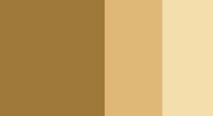 Raw Umber Horadam Gouache 15ml