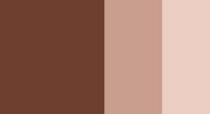 Burnt Sienna Horadam Gouache 15ml