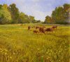 First Impressions in Acrylic by John Hammond