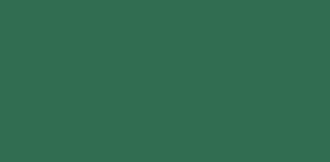JACQUARD NEOPAQUE 70ml GREEN