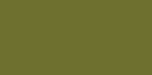 JACQUARD NEOPAQUE 70ml MILITARY GREEN