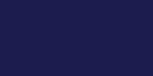 JACQUARD NEOPAQUE 70ml NAVY
