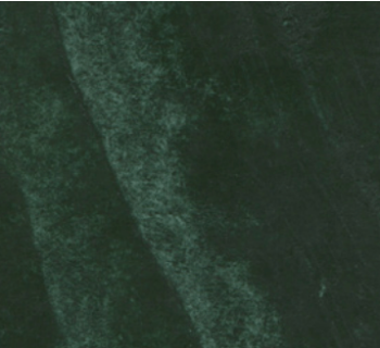 Courbet Green R&F 38ml