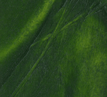 Sap Green R&F 188ml  Sap Green R&F 188ml