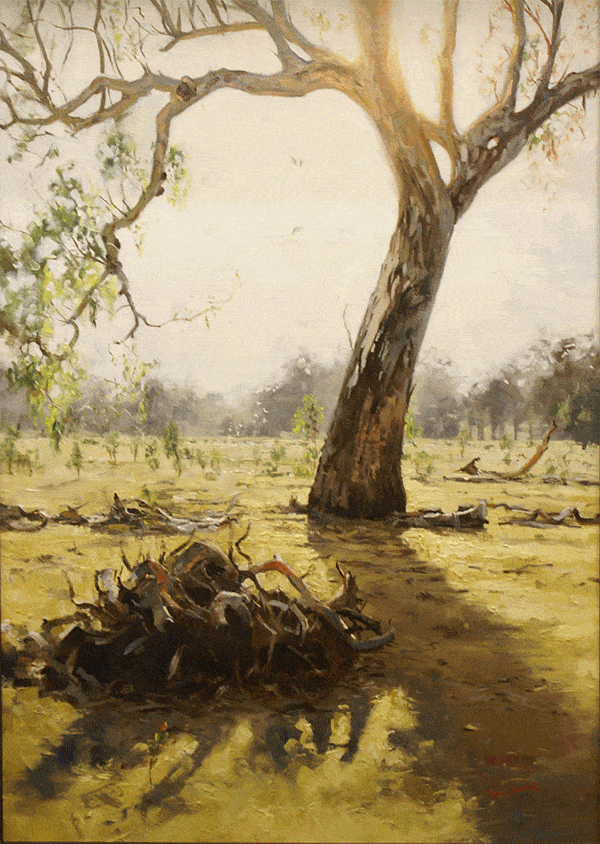 Ben Winspear