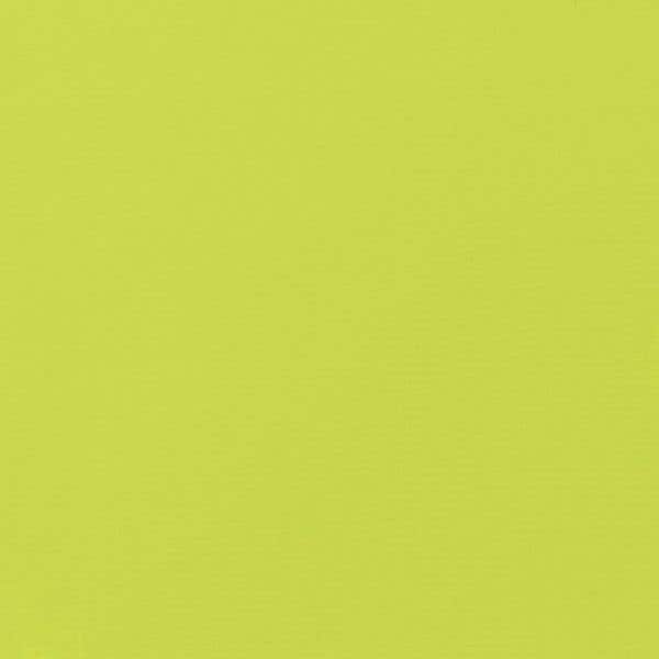 Vivid Lime Green Acrylic Gouache liquitex 59ml