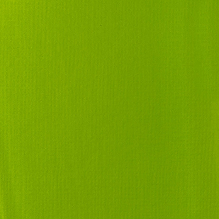 Lime Green Basics Acrylic 118ml