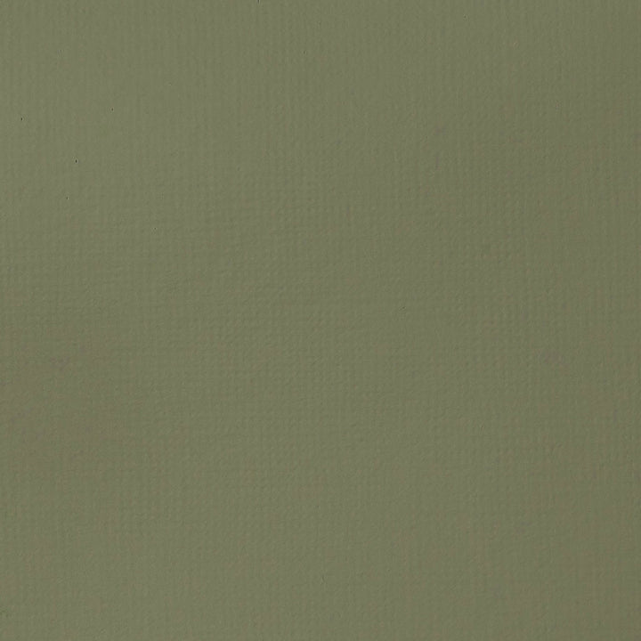 Green Gray Basics Acrylic 118ml