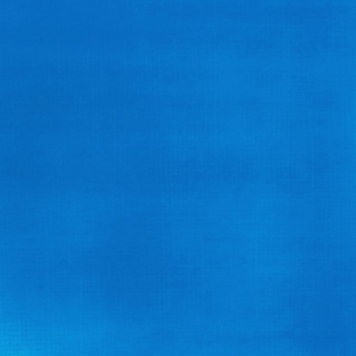 Fluro Blue Basics Acrylic 118ml