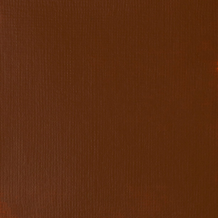 Burnt Sienna Basics Acrylic 118ml