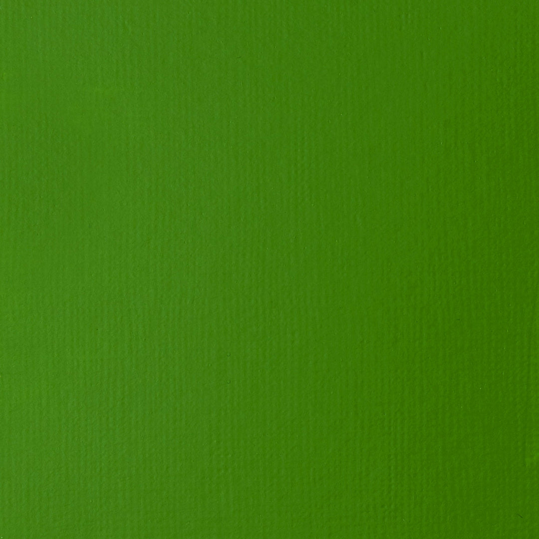 Light Green Permanent Basics Acrylic 118ml