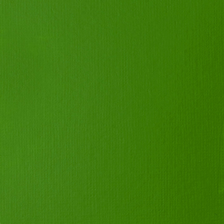 Light Green Permanent Basics Acrylic 118ml