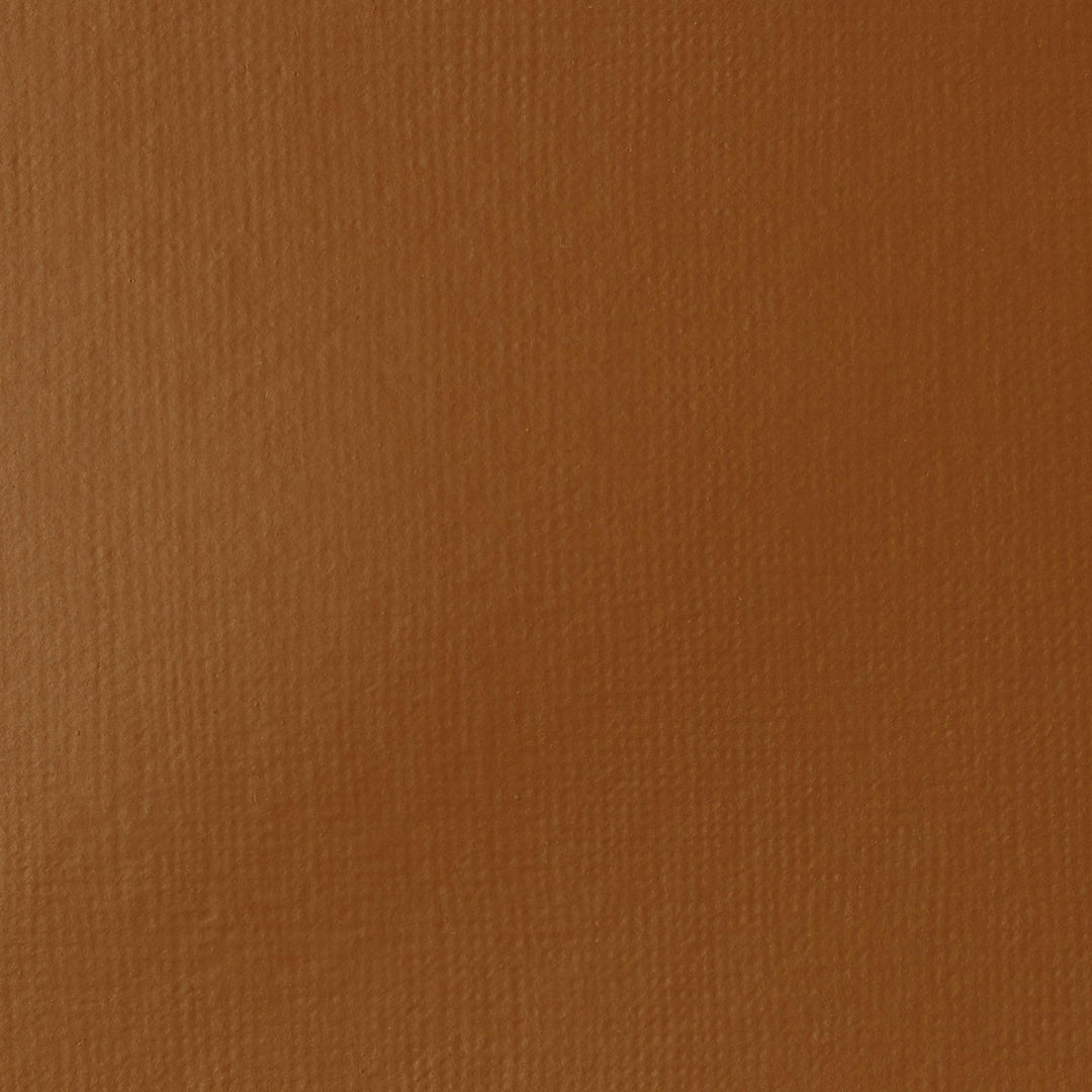 Raw Sienna Basics Acrylic 118ml