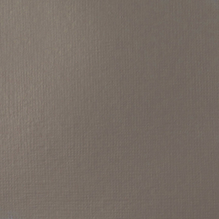 Neutral Gray Value 5 Basics Acrylic 118ml