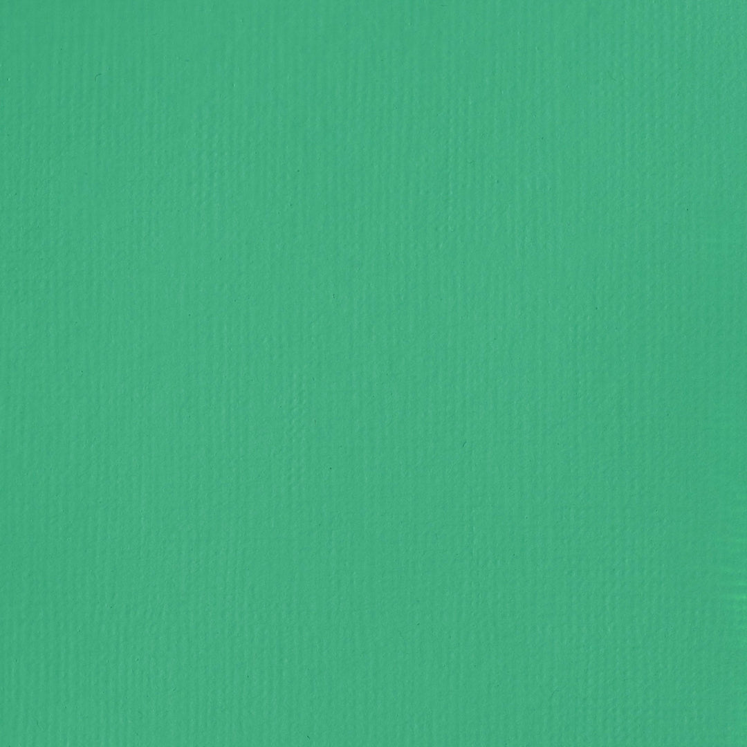 Bright Aqua Green Basics Acrylic 118ml