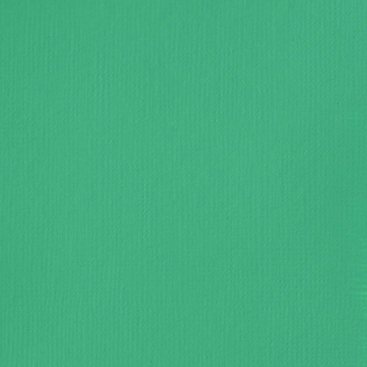 Bright Aqua Green Basics Acrylic 118ml