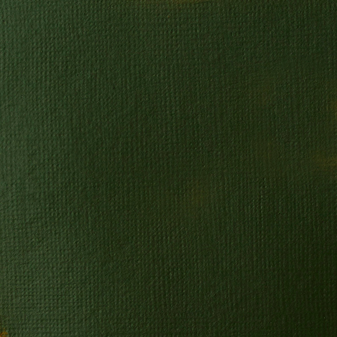 Hookers Green Basics Acrylic 118ml