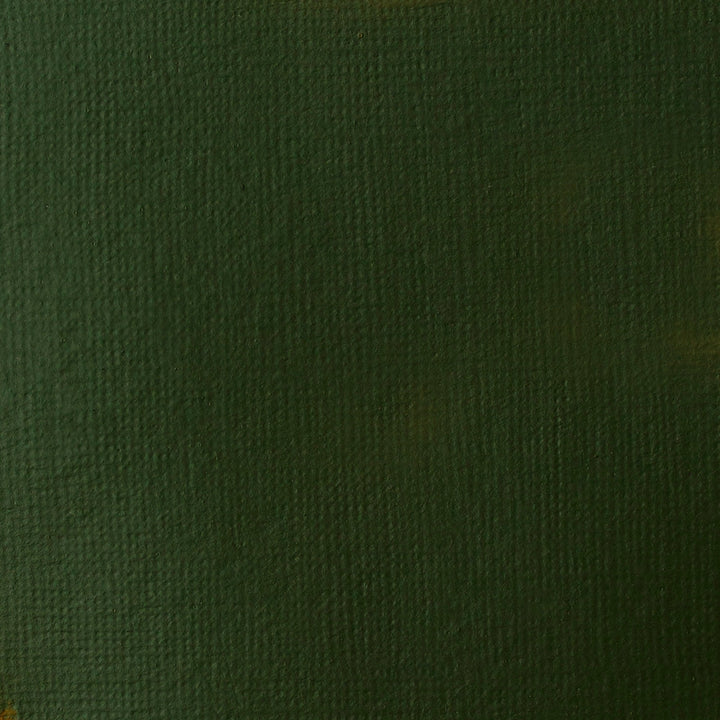 Hookers Green Basics Acrylic 118ml